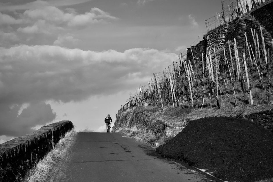 A Step-by-Step Look at The Ordinary Virtues Of Walking