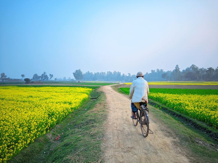 The Habit Of Moving Through The Day as a Daily Habit