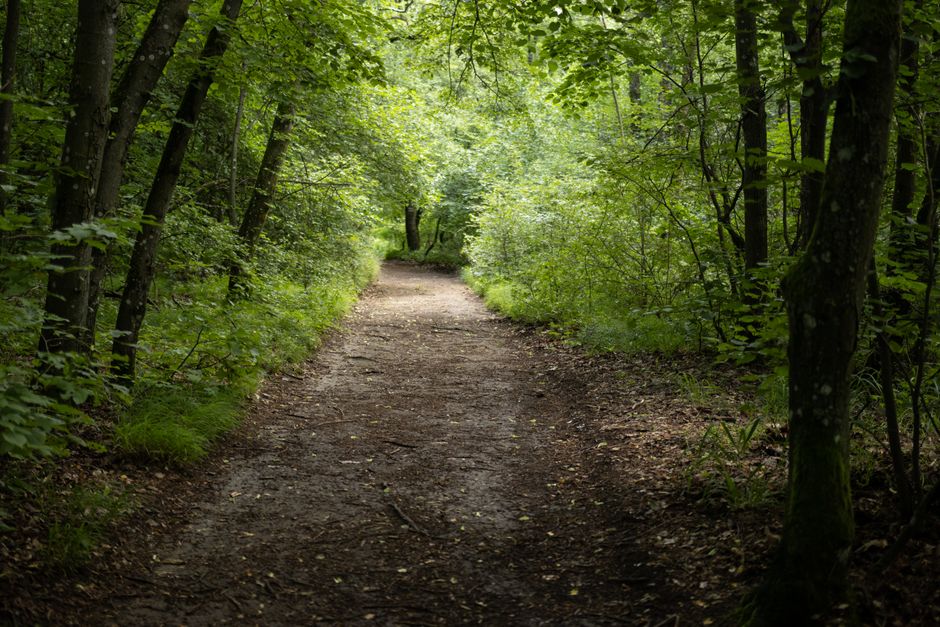 The Social Side Of Well-Being: A Simple, Practical Guide