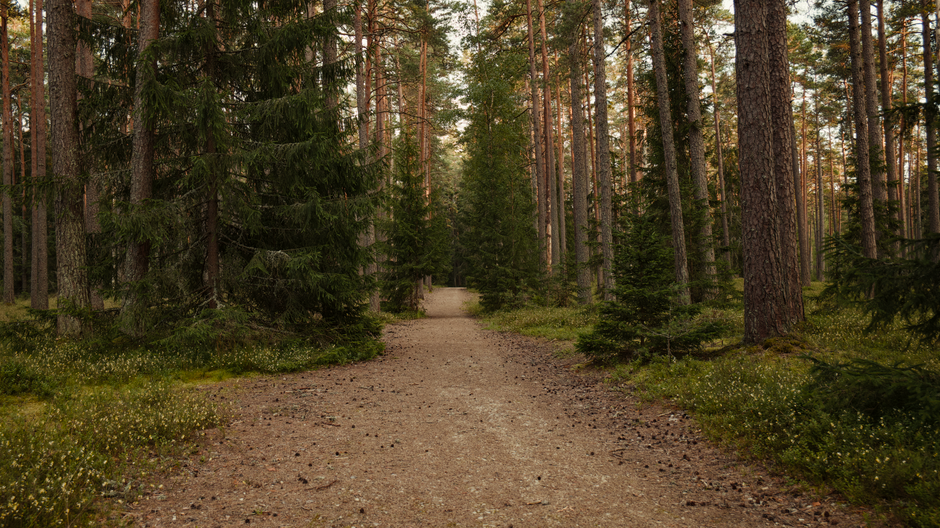The Truth About Motivation, Discipline And Self-Compassion