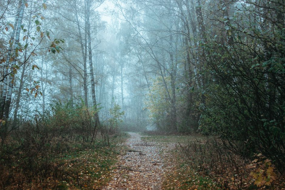 The Truth About Time, Attention And Health