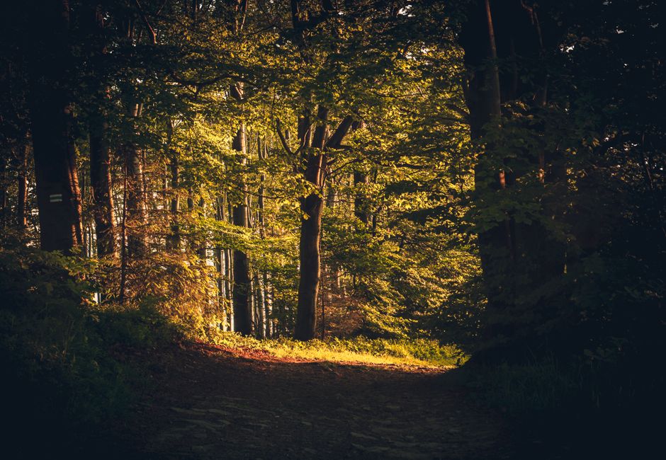 Time, Attention And Health: Making It Part of Your Day
