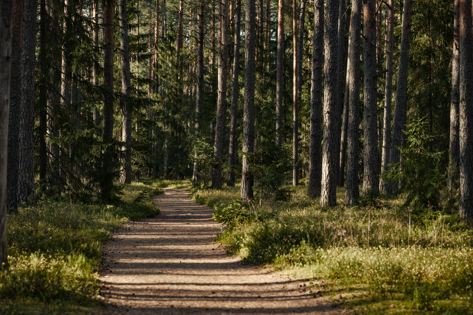 Understanding Health And Wellness for Busy People