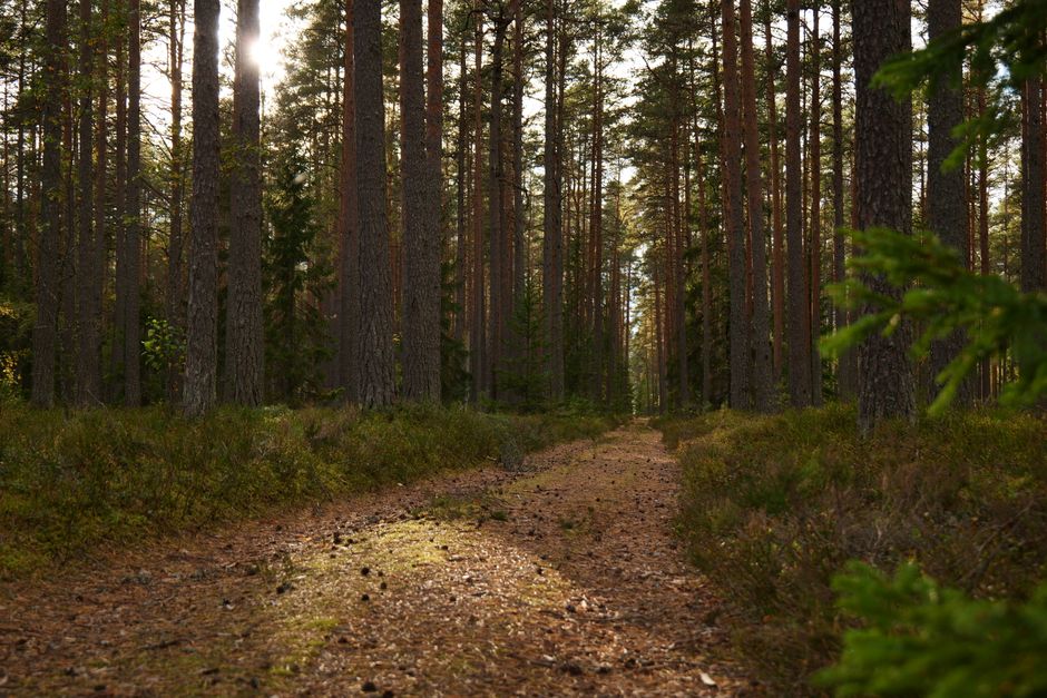 Wellness Without Perfectionism for Busy People