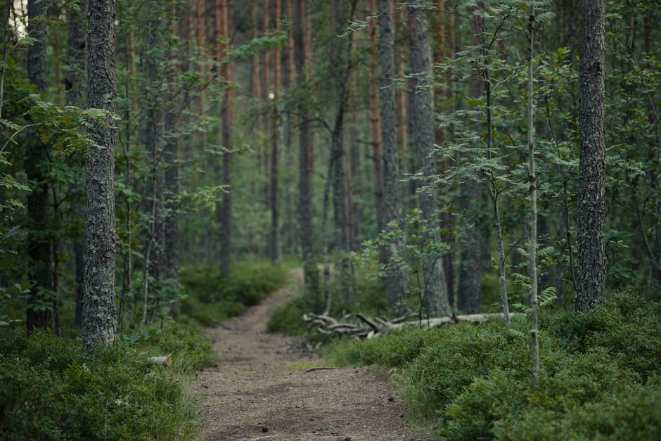Where People Go Wrong With Stress: Signal, Response And Recovery