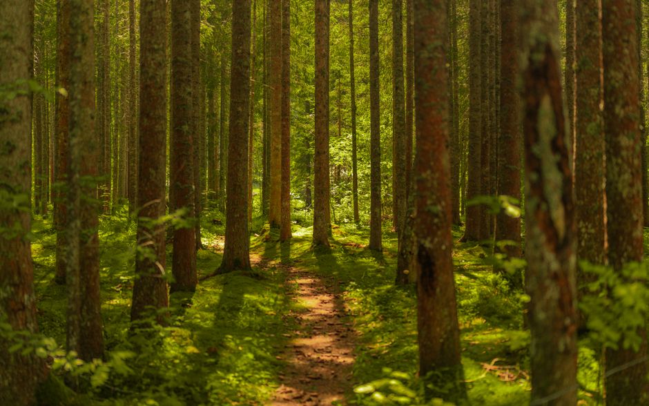 Where People Go Wrong With The Importance Of Personal Well-Being